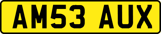 AM53AUX