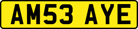 AM53AYE