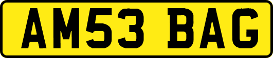 AM53BAG