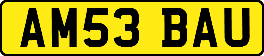 AM53BAU