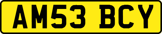 AM53BCY