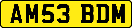 AM53BDM