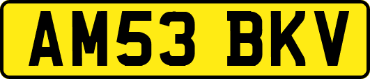 AM53BKV