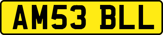 AM53BLL