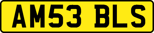 AM53BLS