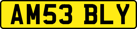AM53BLY