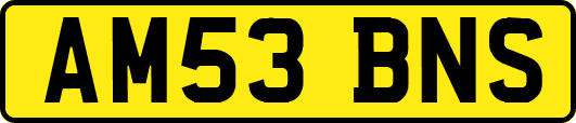 AM53BNS