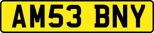 AM53BNY