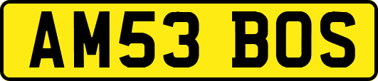 AM53BOS