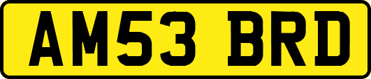 AM53BRD