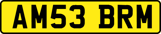 AM53BRM