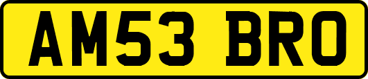 AM53BRO