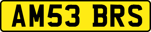 AM53BRS