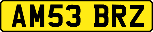 AM53BRZ
