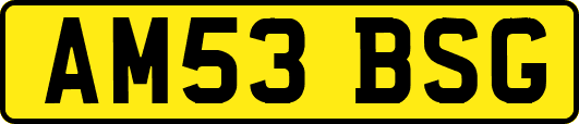AM53BSG