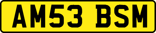 AM53BSM