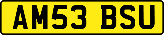 AM53BSU