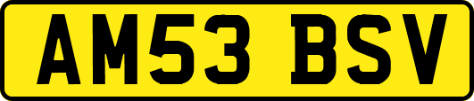 AM53BSV