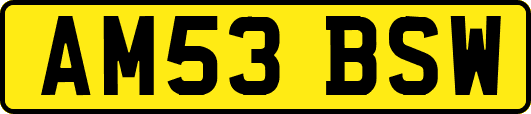 AM53BSW