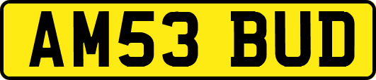 AM53BUD