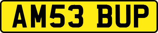 AM53BUP