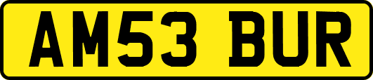 AM53BUR