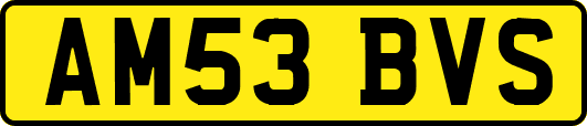 AM53BVS