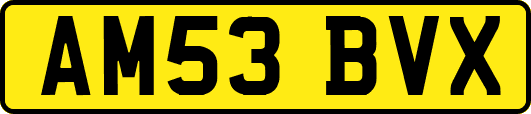 AM53BVX