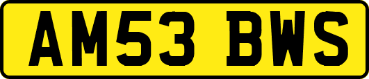AM53BWS