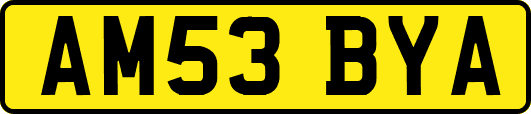 AM53BYA