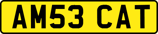 AM53CAT