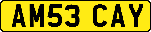 AM53CAY