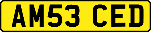 AM53CED