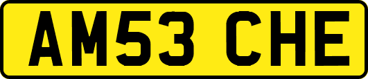 AM53CHE