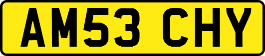AM53CHY