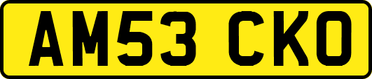 AM53CKO