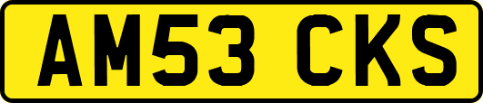 AM53CKS