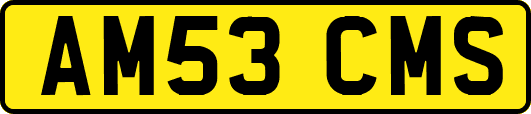 AM53CMS