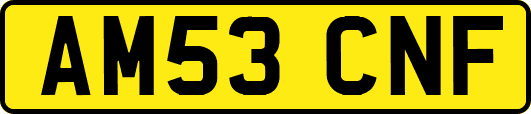 AM53CNF