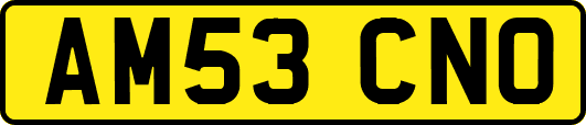 AM53CNO
