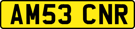 AM53CNR