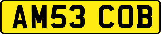 AM53COB