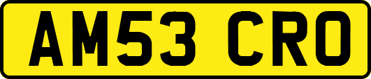 AM53CRO