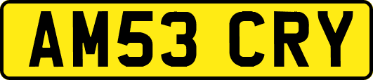 AM53CRY