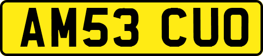 AM53CUO