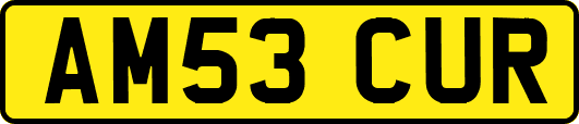 AM53CUR