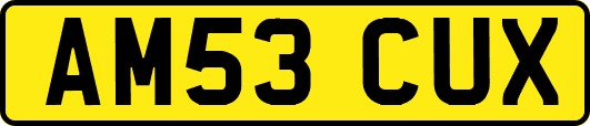 AM53CUX