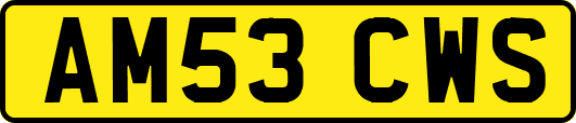 AM53CWS