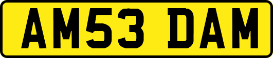 AM53DAM