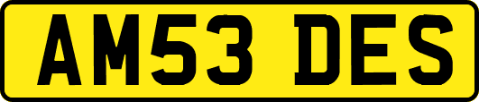 AM53DES